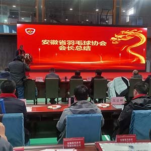 新荣誉  新征程 安徽省羽毛球协会六届三次会员代表大会隆重召开 六安羽协荣获表彰